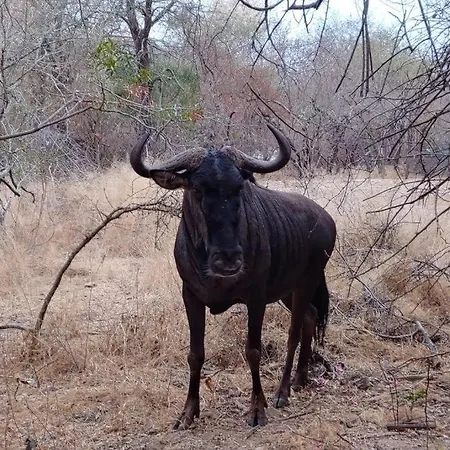 Nag-Apie Vakansiehuis Marloth Park Exterior photo
