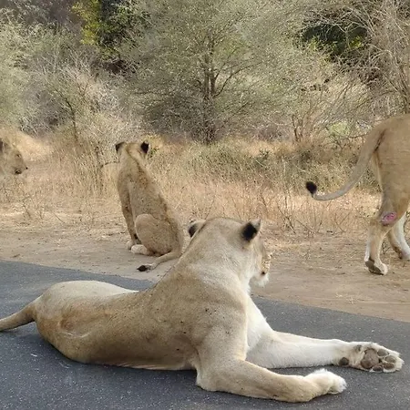 Nag-Apie Vakansiehuis Marloth Park Exterior photo