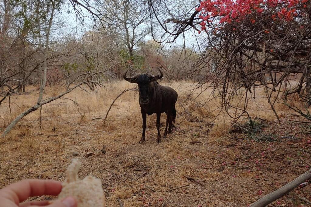 Nag-apie Vakansiehuis Marloth Park