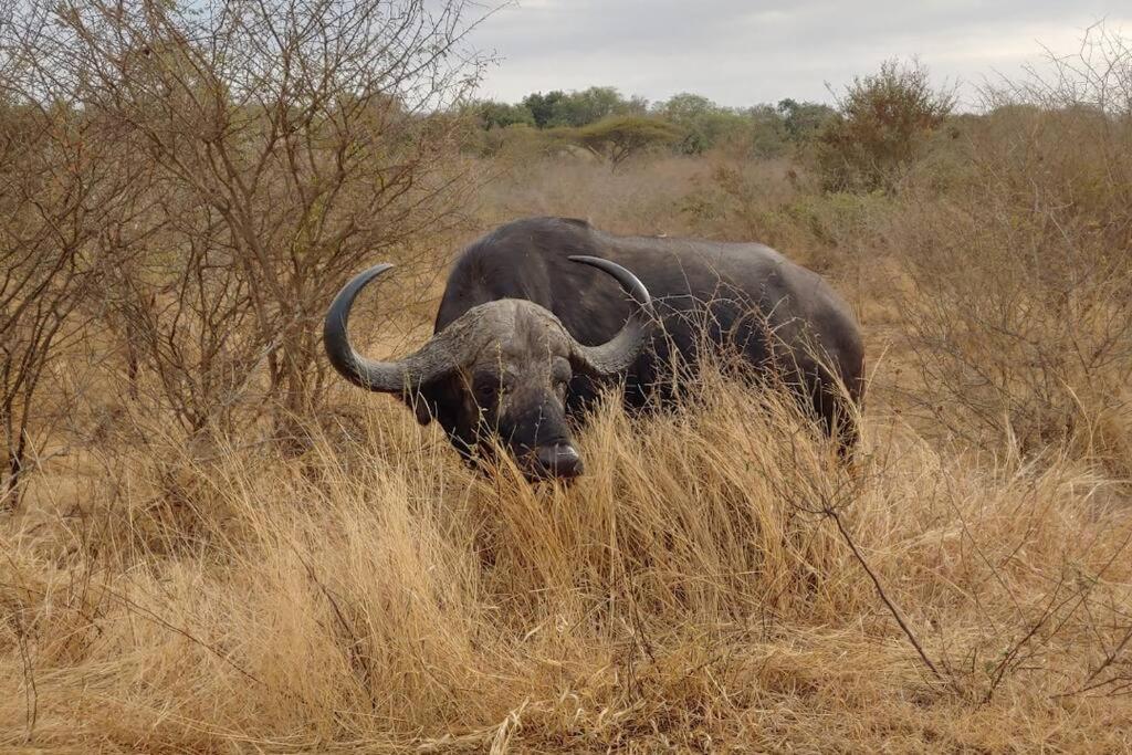 Nag-apie Vakansiehuis * Marloth Park